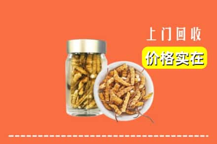 株洲渌口区回收散虫草