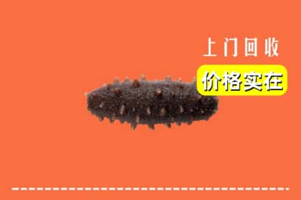 株洲渌口区回收海参
