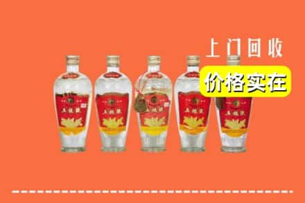 诚信求购:株洲渌口区高价回收老五粮液